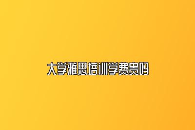 大学雅思培训学费贵吗