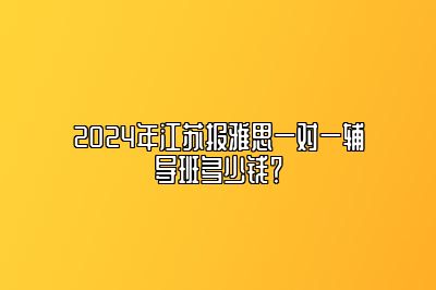 2024年江苏报雅思一对一辅导班多少钱？