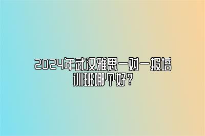 2024年武汉雅思一对一报培训班哪个好?