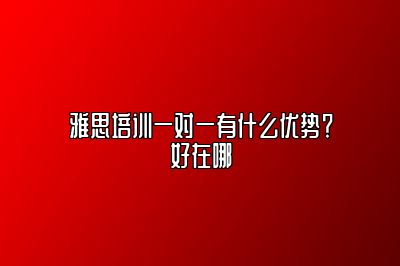 雅思培训一对一有什么优势？好在哪