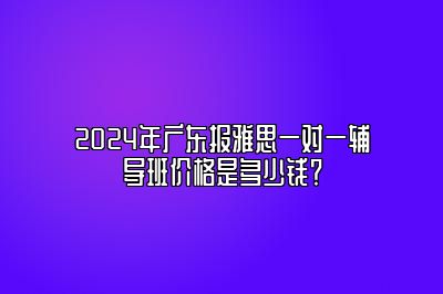 2024年广东报雅思一对一辅导班价格是多少钱？