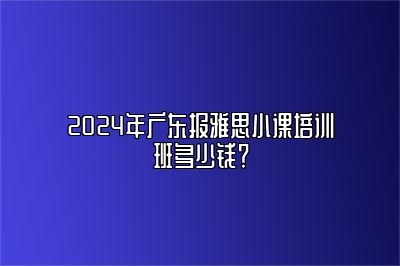 2024年广东报雅思小课培训班多少钱？