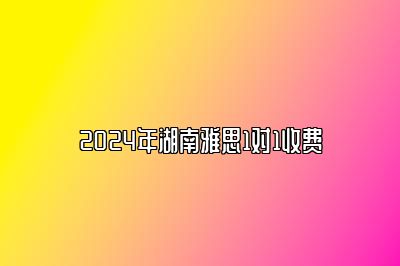 2024年湖南雅思1对1收费