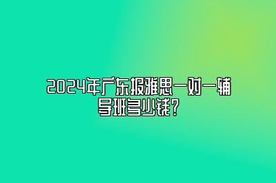 2024年广东报雅思一对一辅导班多少钱？