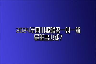 2024年四川报雅思一对一辅导班多少钱？