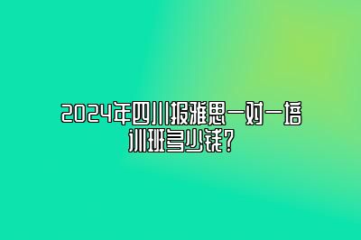 2024年四川报雅思一对一培训班多少钱？