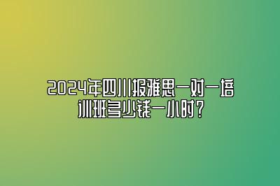 2024年四川报雅思一对一培训班多少钱一小时？