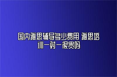 国内雅思辅导多少费用 雅思培训一对一很贵吗
