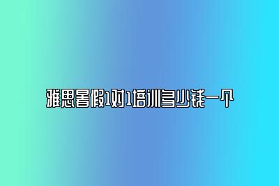 雅思暑假1对1培训多少钱一个
