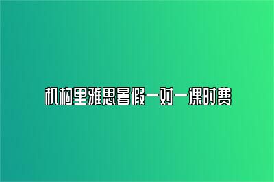机构里雅思暑假一对一课时费