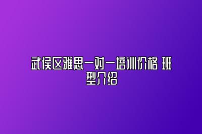 武侯区雅思一对一培训价格 班型介绍