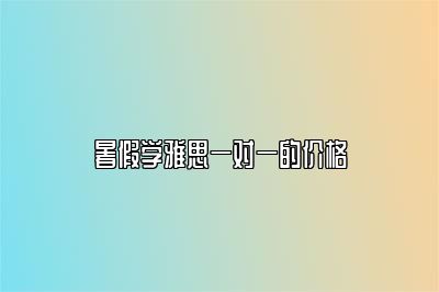 暑假学雅思一对一的价格
