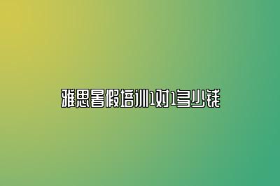 雅思暑假培训1对1多少钱