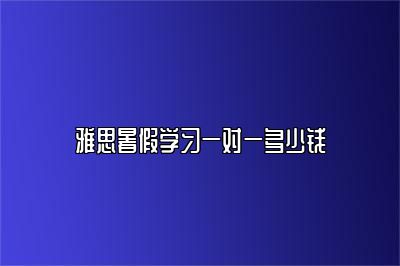 雅思暑假学习一对一多少钱