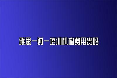 雅思一对一培训机构费用贵吗