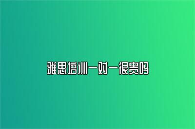 雅思培训一对一很贵吗