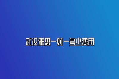 武汉雅思一对一多少费用