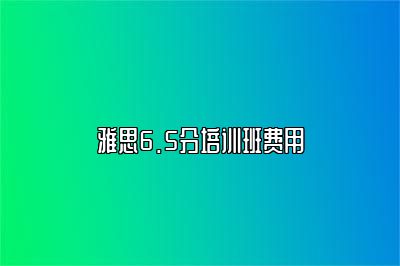雅思6.5分培训班费用