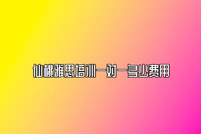 仙桃雅思培训一对一多少费用