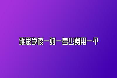 雅思学校一对一多少费用一个