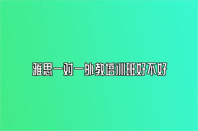 雅思一对一外教培训班好不好