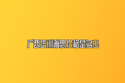 广西培训雅思价格是多少