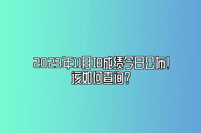 2023年11月IB成绩今日公布！该如何查询？